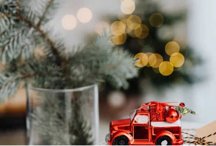 Holiday Shopping under $50!