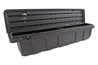 Thumbnail for Photo - Unmounted