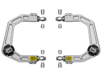 Thumbnail for Photo - Primary