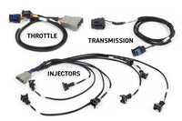 Thumbnail for Haltech NEXUS Rebel LS Gen III Cable Throttle/EV1 Injectors/Manual Transmission