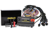Thumbnail for Haltech NEXUS R5 + Universal Wire-In Harness Kit - 5M (16ft)