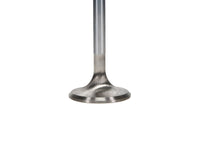 Thumbnail for Manley Small Block Chevrolet 1.500 Budget Performance Exhaust Valves