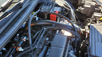 Thumbnail for Photo - Mounted
