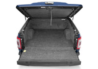 Thumbnail for Photo - Mounted