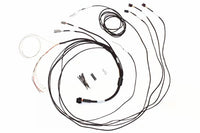 Thumbnail for Haltech Semi Terminated Harness for IC-7 Display Dash