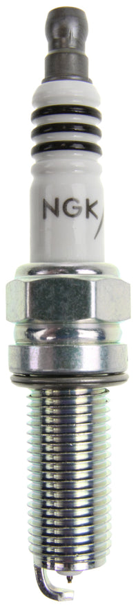 Thumbnail for Photo - Primary