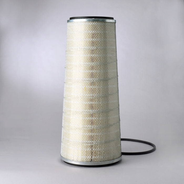 Donaldson P141228 Air Filter