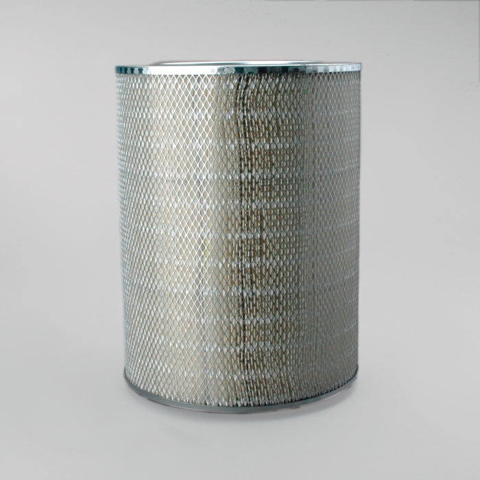 Donaldson P181039 Air Filter