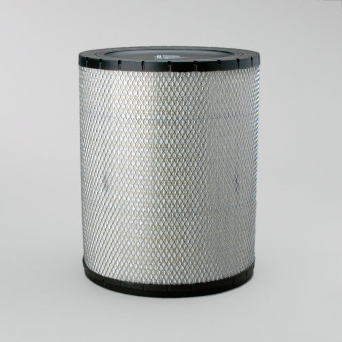 Donaldson P181120 Air Filter