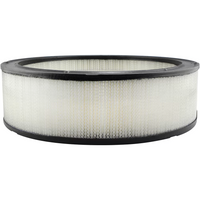 Thumbnail for Baldwin PA2079 Air Filter Element