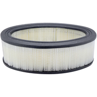 Thumbnail for Baldwin PA613 Air Filter Element