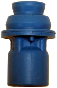 Thumbnail for Photo - Primary