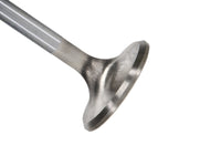 Thumbnail for Manley Small Block Chevrolet 1.500 Budget Performance Exhaust Valves