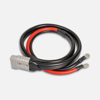 Thumbnail for User 1