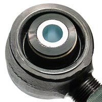 Thumbnail for Photo - Mounted