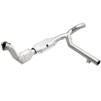 Thumbnail for Photo - Primary