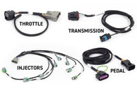 Thumbnail for Haltech NEXUS Rebel LS Gen IV 6-Pin DBW Throttle/EV6 Injectors/Manual Transmission