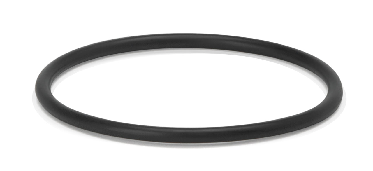 Fleetguard 3935185S O-Ring