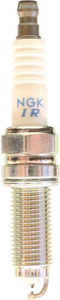 Thumbnail for Photo - Primary