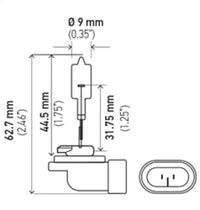 Thumbnail for Hella Bulb 894 12V 375W Pgj13 T325