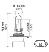 Thumbnail for Hella Bulb 9005XS 12V 100W XEN WHT XB (2)