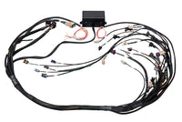 Thumbnail for Haltech GM GEN IV LSX (LS2/LS3 Non DBW) Elite 2000/2500 Terminated Harness w/EV6 Inj Connectors