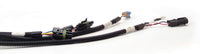 Thumbnail for FAST Wiring Harness FAST Main