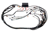 Thumbnail for Haltech GM GEN III LS1 & LS6 (Non DBW) Elite 2000/2500 Terminated Harness w/EV1 Injector Connectors
