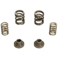Thumbnail for BD Diesel Governor Spring Kit 3000rpm - 1994-1998 Dodge 12-valve/P7100 Pump