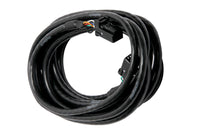 Thumbnail for Haltech CAN Cable 8 Pin Black Tyco to 8 Pin Black Tyco 1800mm (72in)