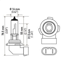 Thumbnail for Hella H10 12V 65W Xen White Bulb (Pair)