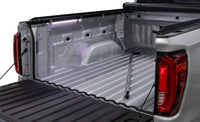 Thumbnail for Access Accessories SMART Pack (EZ-Retriever II Truck Bed LED Light and Trailseal)