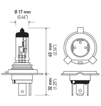 Thumbnail for Hella Bulb H4 12V 60/55W P43t T4.625 +50