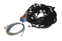 Thumbnail for FAST Wiring Harness Main LS1LS2L