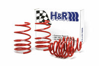 Thumbnail for H&R 92-98 BMW 325i/325is/328i/328is E36 Race Spring (After 6/22/92 & Non Cabrio)