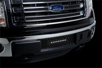 Thumbnail for Putco 11-14 Ford F-150 EcoBoost SS Black Punch Bumper Grille Insert w/ 10in Luminix Light Bar