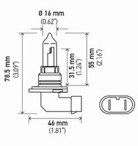 Thumbnail for Hella Bulb 9005 12V 65W P20D T4 +50 (2)