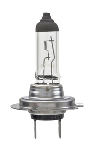 Thumbnail for Hella Bulb H7 12V 55W Px26D T4625 Sb