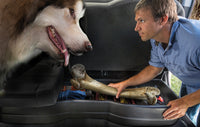 Thumbnail for Husky Liners 15-23 Ford F-150 SuperCab Under Seat Storage Box