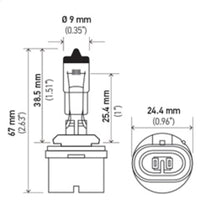 Thumbnail for Hella Bulb 893 12V 37.5W PG13 T3.25