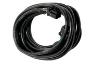 Thumbnail for Haltech CAN Cable 8 Pin Black Tyco to 8 Pin Black Tyco 300mm (12in)