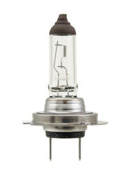 Thumbnail for Hella Bulb H7 12V 70W PX26d T4.625