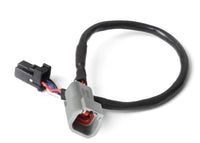 Thumbnail for Haltech 3in CAN Adaptor Cable DTM-4 Female Receptacle/Socket to 8 Pin Black Tyco