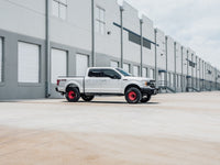 Thumbnail for Road Armor 18-20 Ford F150 SPARTAN Front Bumper Bolt-On Pre-Runner Guard - Tex Blk