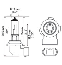Thumbnail for Hella H10 12V 65W Xen White Bulb (Pair)