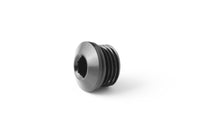 Thumbnail for GFB -6AN Blanking Plug (Suits FXR 8060)