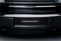 Thumbnail for Putco 11-14 Ford F-150 EcoBoost SS Black Punch Bumper Grille Insert w/ 10in Luminix Light Bar