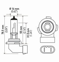 Thumbnail for Hella Bulb H10/9145 12V 45W Py20D T4 (2)