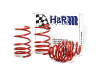Thumbnail for H&R 92-98 BMW 325i/325is/328i/328is E36 Race Spring (After 6/22/92 & Non Cabrio)