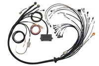 Thumbnail for Haltech V8 Big/Small Block GM/Ford/Chrysler Elite 2000/2500 Terminated Harness w/EV1 Inj Connectors